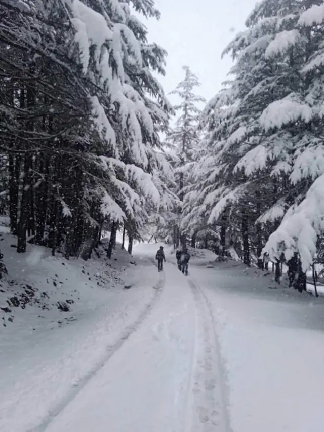 హిమపాతం