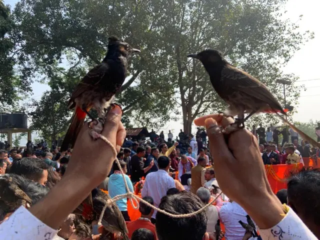 बुलबुल की लड़ाई