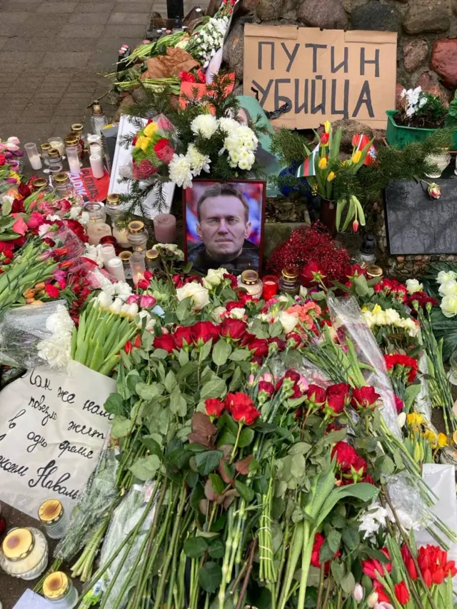 вильнюс навальный