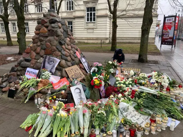 вильнюс навальный