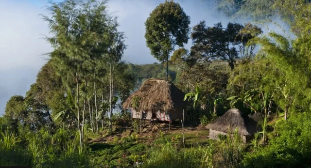पापुआ न्यू गिनी