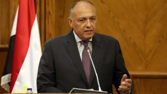 وزير الخارجية المصري سامح شكري