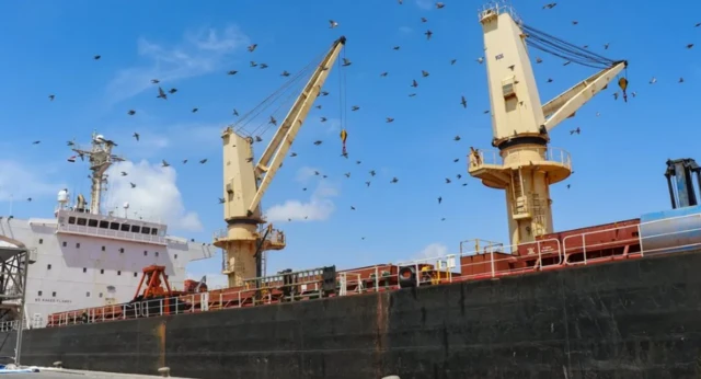 हूती विद्रोही