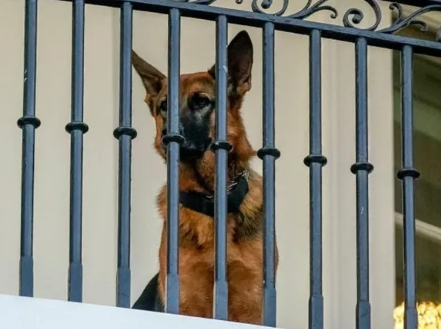 अमेरिकी राष्ट्रपति