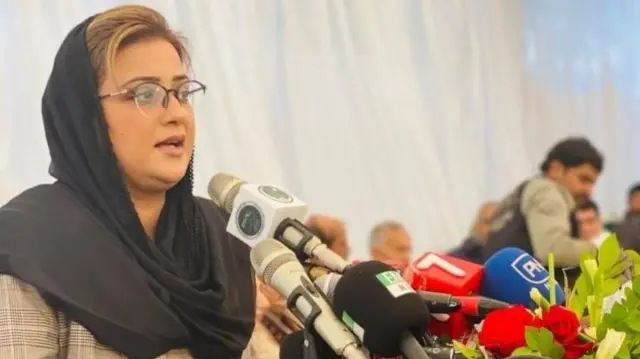 پنجاب اسمبلی، اعظمیٰ بخاری، ن لیگ، پاکستان، الیکشن