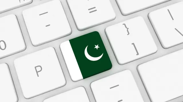 سوشل میڈیا، پی پی پی، سینیٹر بہرامند تنگی، سوشل میڈیا پیلٹ فارمز