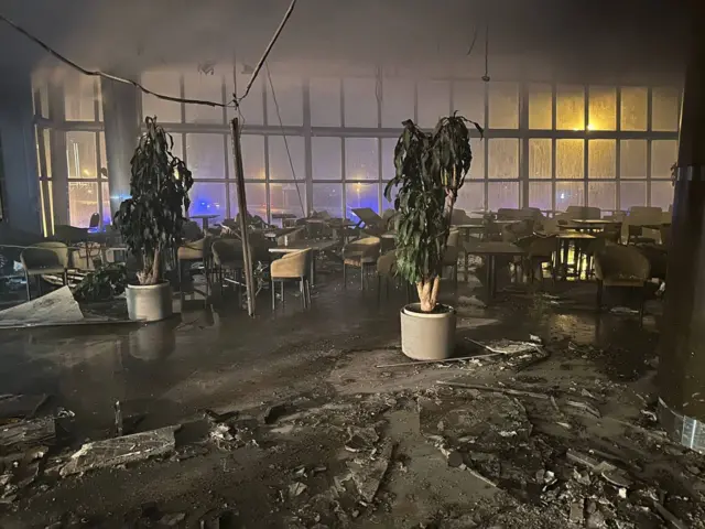 Крокус
