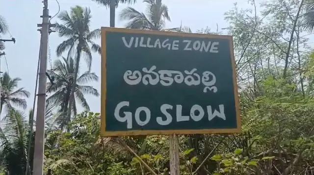 అనకాపల్లిలో ఎలుగుబంటి దాడి