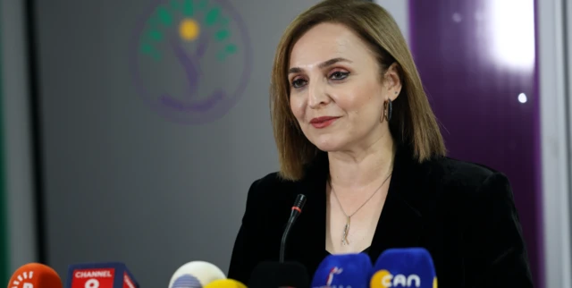 ayşegül doğan