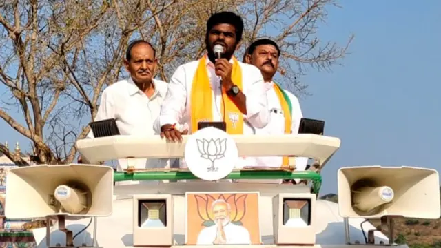பா.ஜ.க, அண்ணாமலை, நாடாளுமன்றத் தேர்தல்