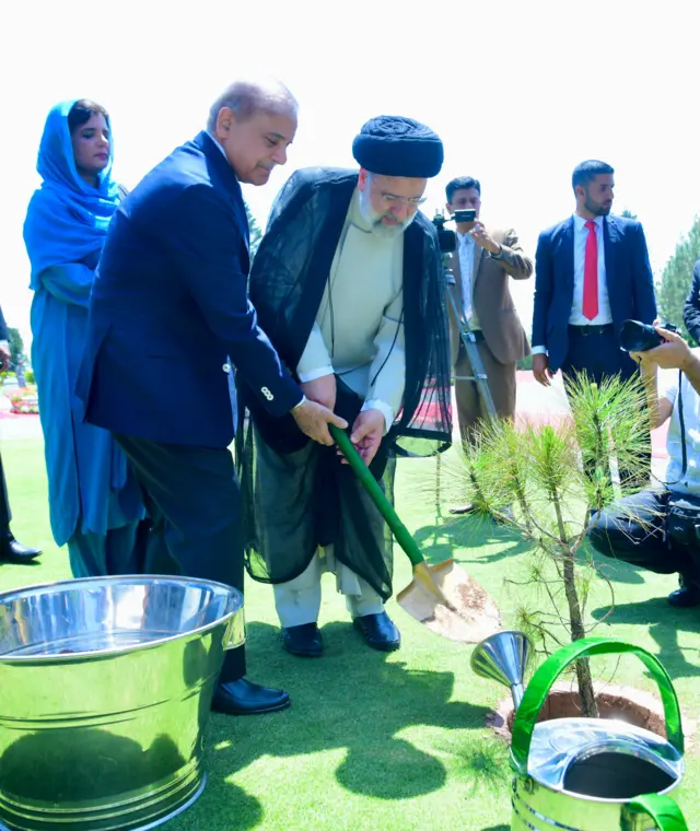 PMLN