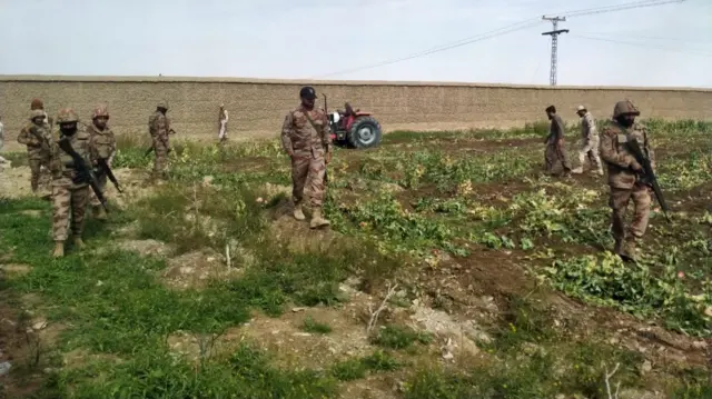 پوست کی ممنوعہ فصل