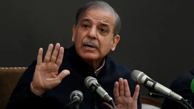 شہباز شریف، پاکستان، کشمیر