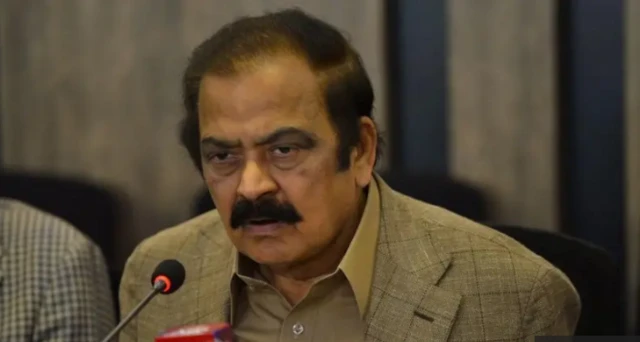 رانا ثنااللہ