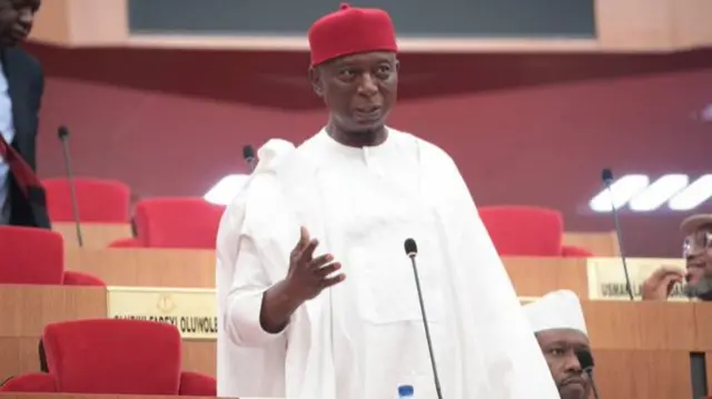Sịnetọ Ned Nwoko