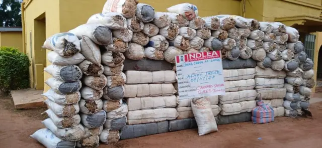 Ọgwụike NDLEA jichiri