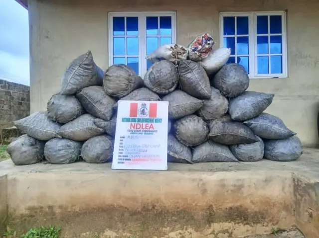 Ọgwụike NDLEA jichiri