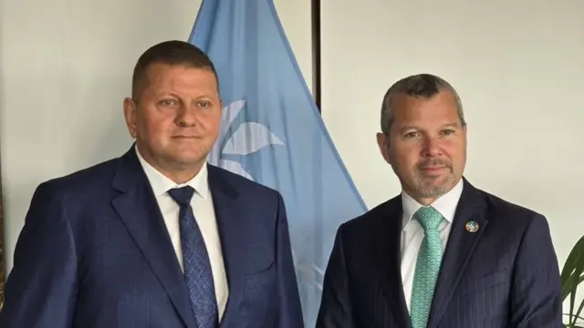 Залужный и глава IMO
