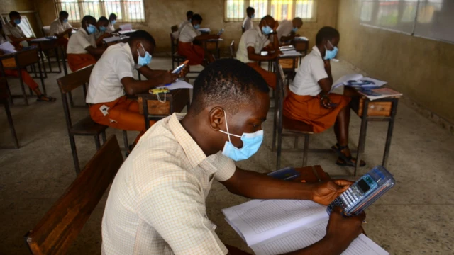 ụmụakwụkwọ na-ele ule