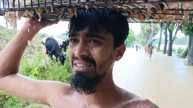 মো. আনোয়ার হোসেন