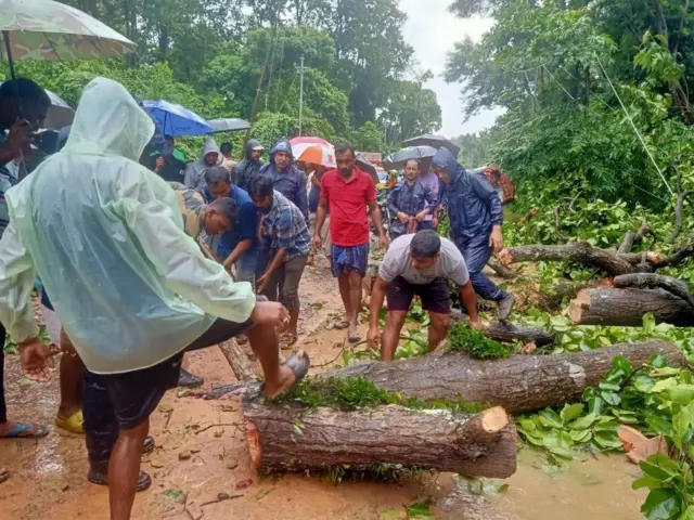 বন্যায় অনেক গাছপালা ভেঙে পড়েছে ত্রিপুরায়