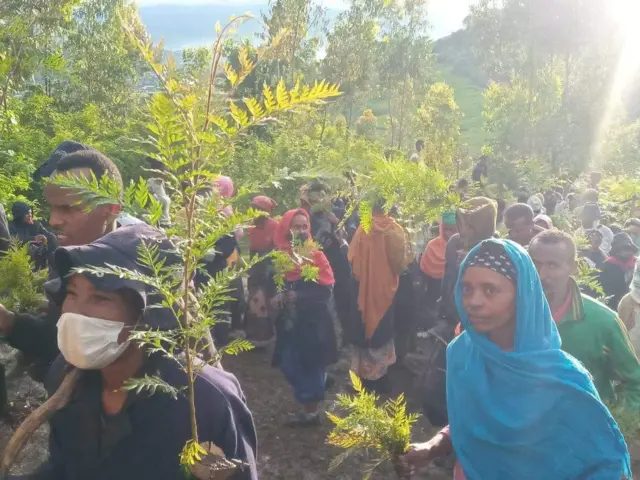 duula biqiltuu dhaabuu Ambootti