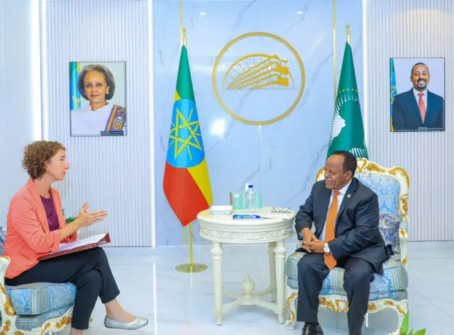 Anuliizaa Doodz fi Ambaasaaddar Taayyee Asqesillasee