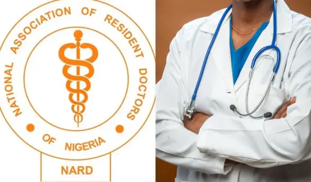 Njirimara NARD na dọkịta