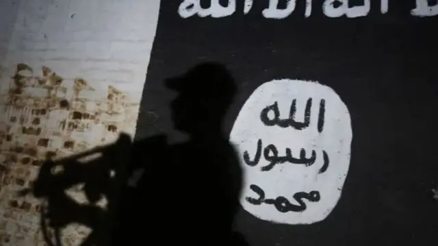 دولتِ اسلامیہ، امریکہ