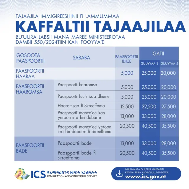 Daballii kaffaltii tajaajilaa taasifame