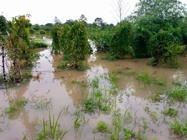 Mmadụ karịrị 100 idemmiri wakporo n’Ebonyi steeti na-ebe akwa enyemaka