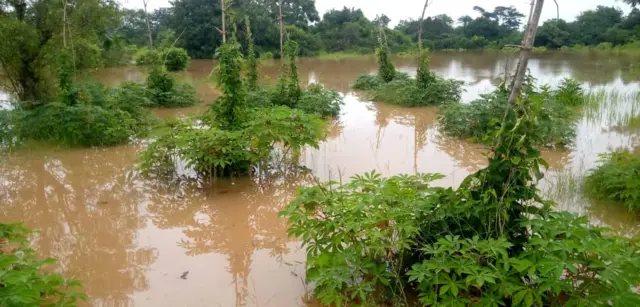 Mmadụ karịrị 100 bụ ndị ide mmịrị wakporo n’Ebonyi steeti na-ebe akwa enyemaka