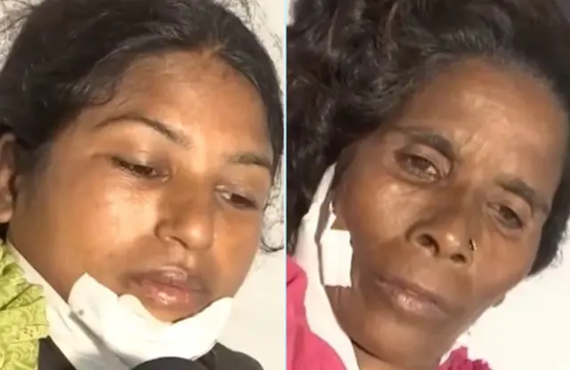 भेड़िया