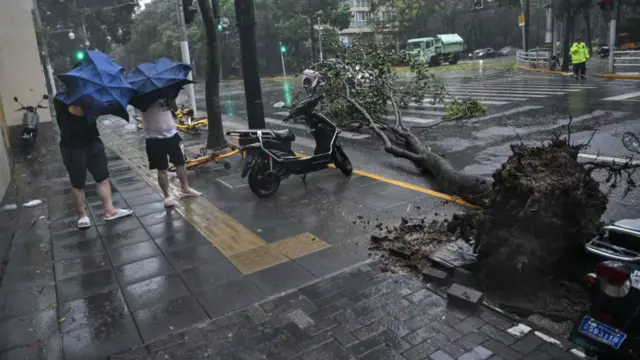 शंघाई से टकराया 'बेबिनका तूफ़ान'