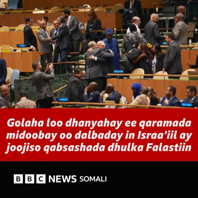 Olya xola bilan video jinsiy aloqa Yosh qizlarning yalangoch mushuklari fotosuratlari