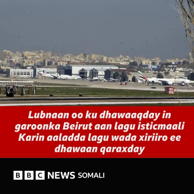 Xonandalarning mushuklari suratlari Nastya Bakeevaning guruh jinsiy pornosi