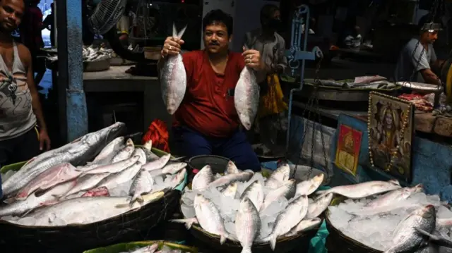 हिलसा मछली