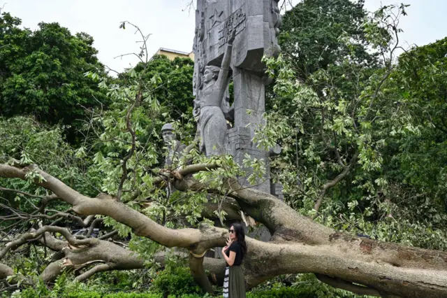 Cây xanh gãy đổ tại trung tâm Hà Nội