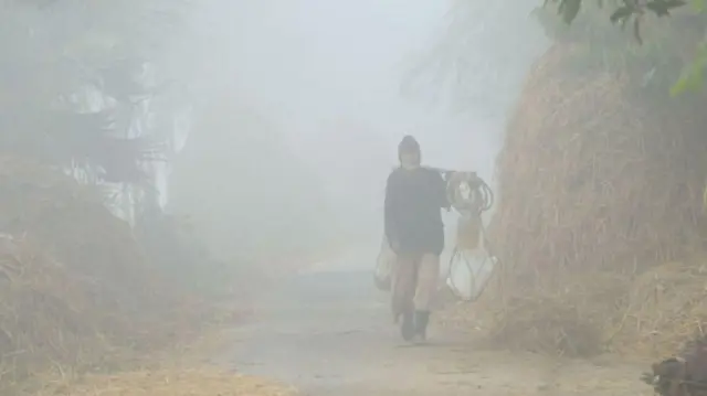 শীত কুয়াশা