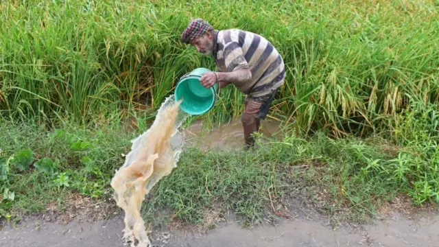किसान