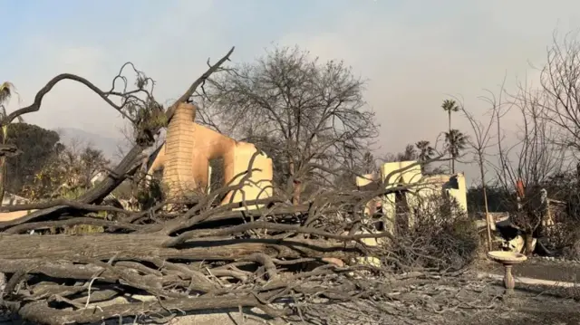 Tirada dhimashada ayaa sare u kacday