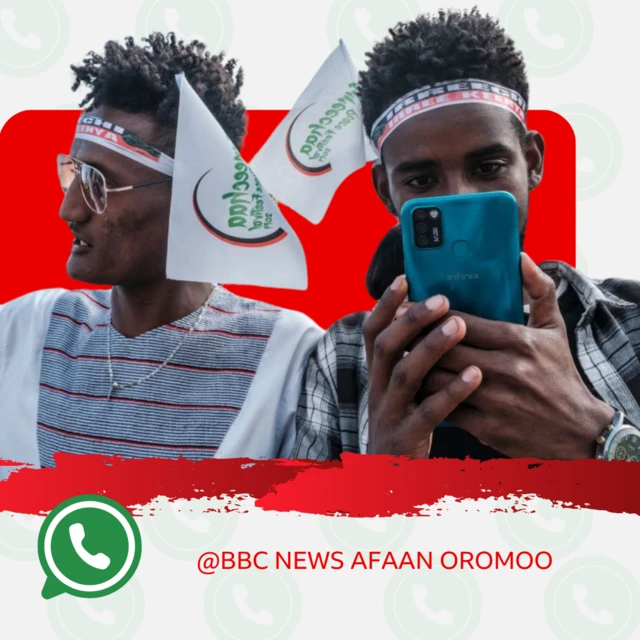 Chaanaalii WhatsApp BBC Afaan Oromoo