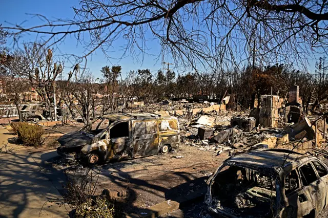 Los Angeles wildfires