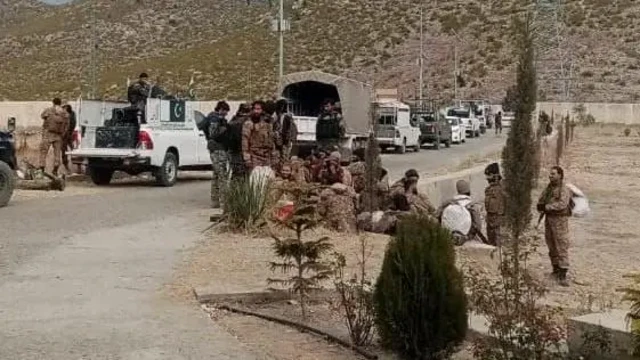 پاڑہ چنار