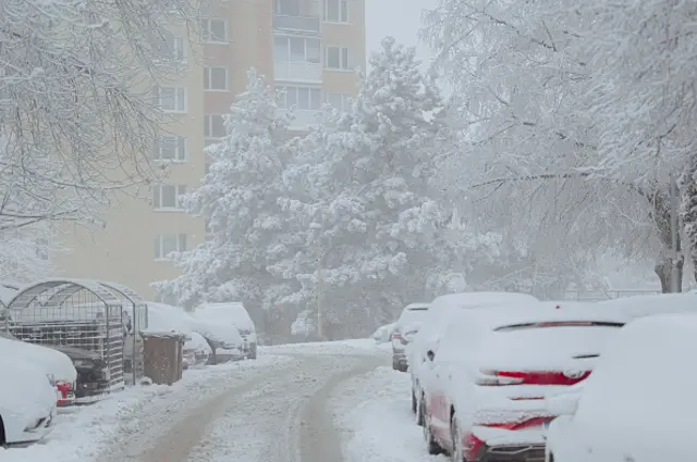 Snow
