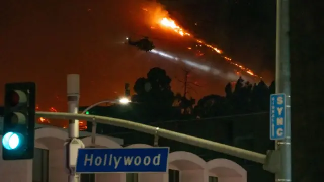 हॉलीवुड