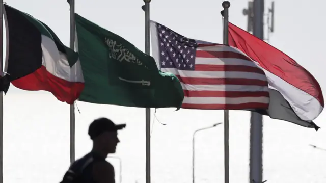 أعلام دول مشاركة في قمة شرم الشيخ