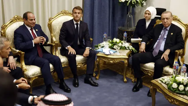 السيسي مع الرئيسين الفرنسي والتركي