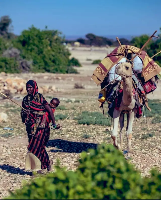 Haweenay ilmo xambaarsan iyo reer geeddi ah