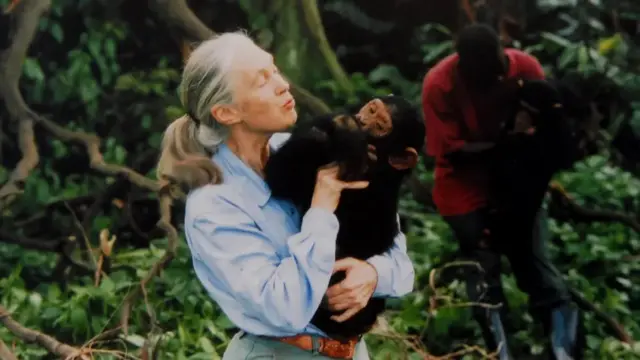 Dr Dame Jane Goodal